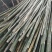 楠竹5~6cm5~6米