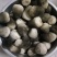 鲜草菇91%一级