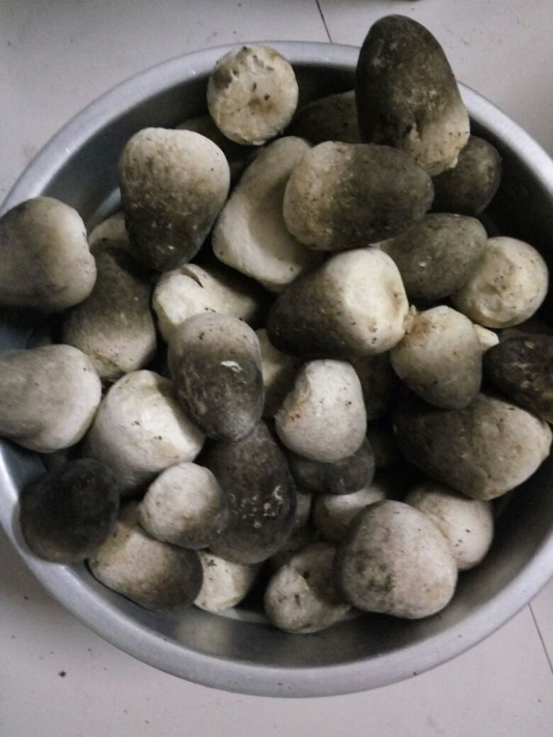 鲜草菇91%一级