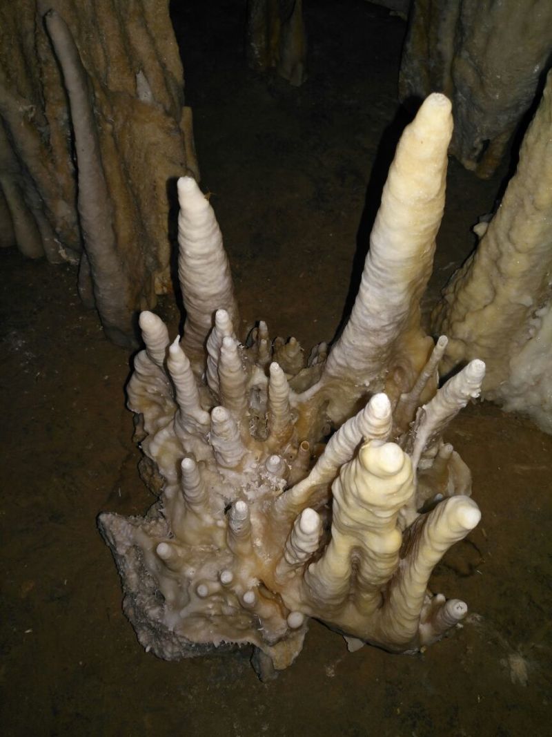 毛石
