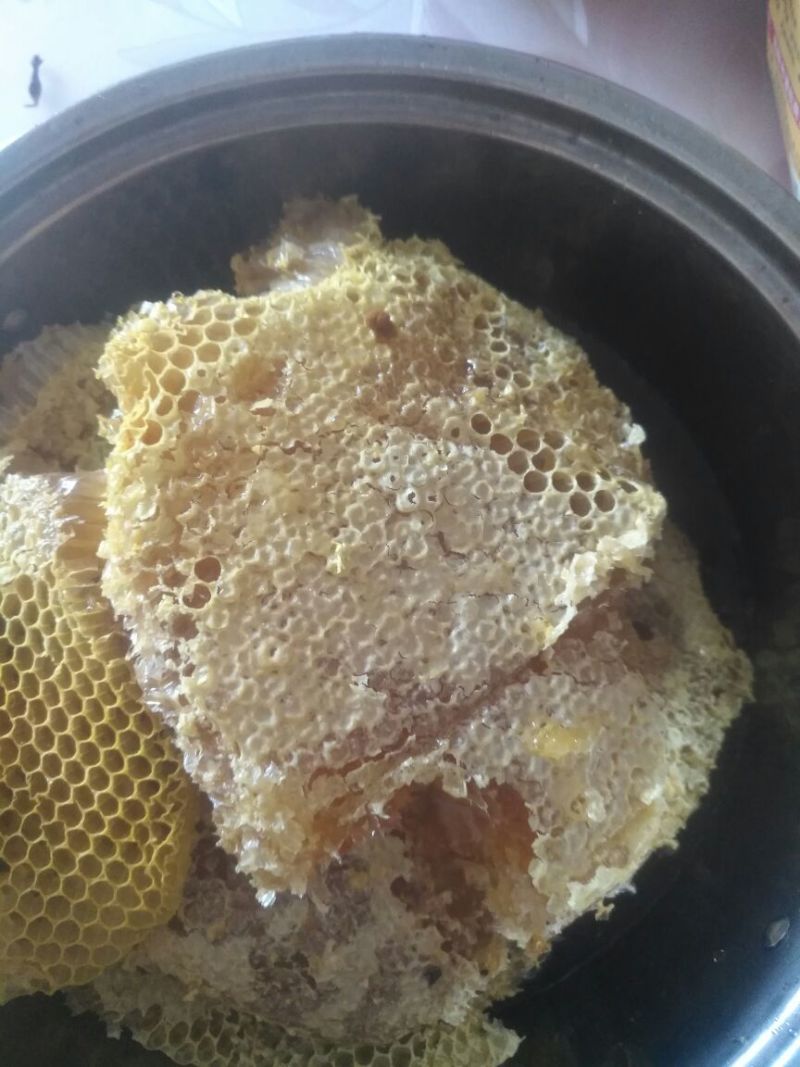 土蜂蜜野生土蜂蜜