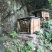 土蜂蜜野生土蜂蜜