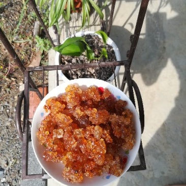 桃胶包装