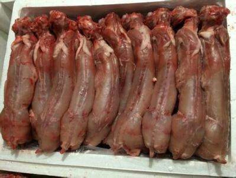兔肉3~5