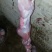 兔肉3~5
