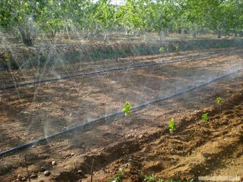 微喷带植物的输液管滴灌喷灌滴灌水肥一体化