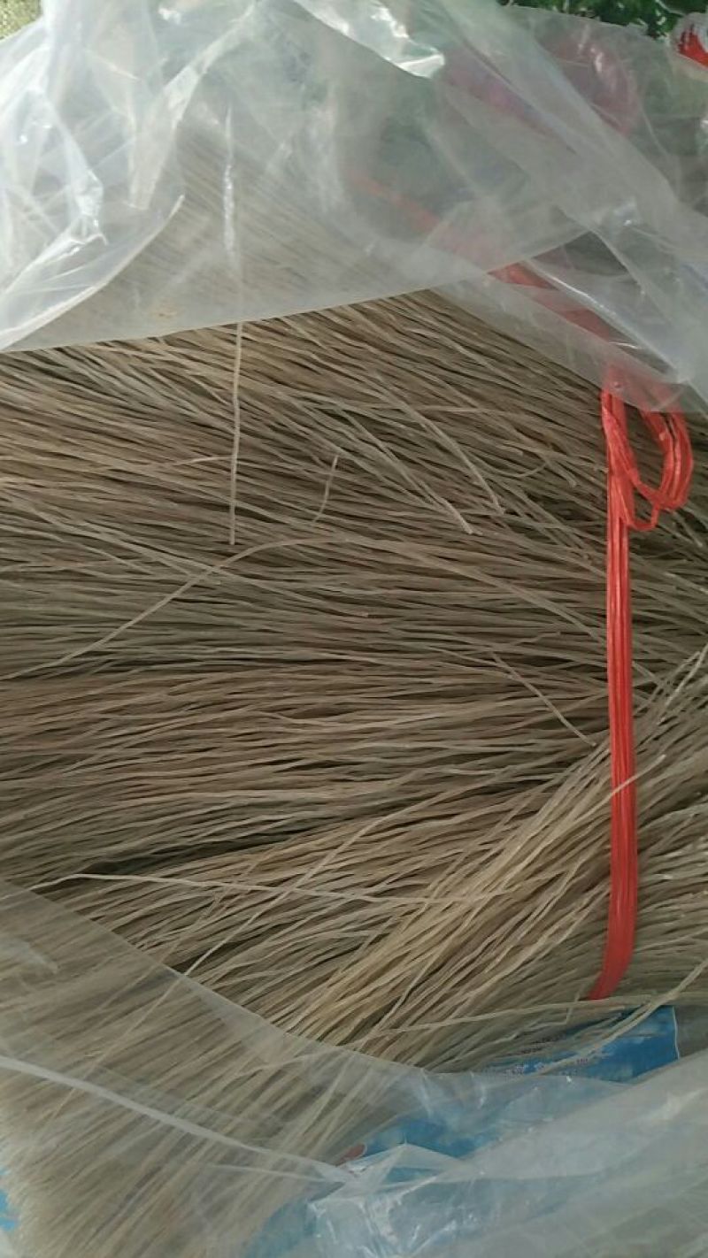 木薯粉条正规厂家，诚信经营，