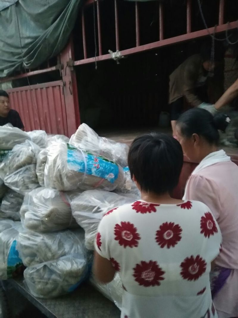 木薯粉条正规厂家，诚信经营，