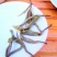 普洱茶二级