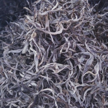 普洱茶二级