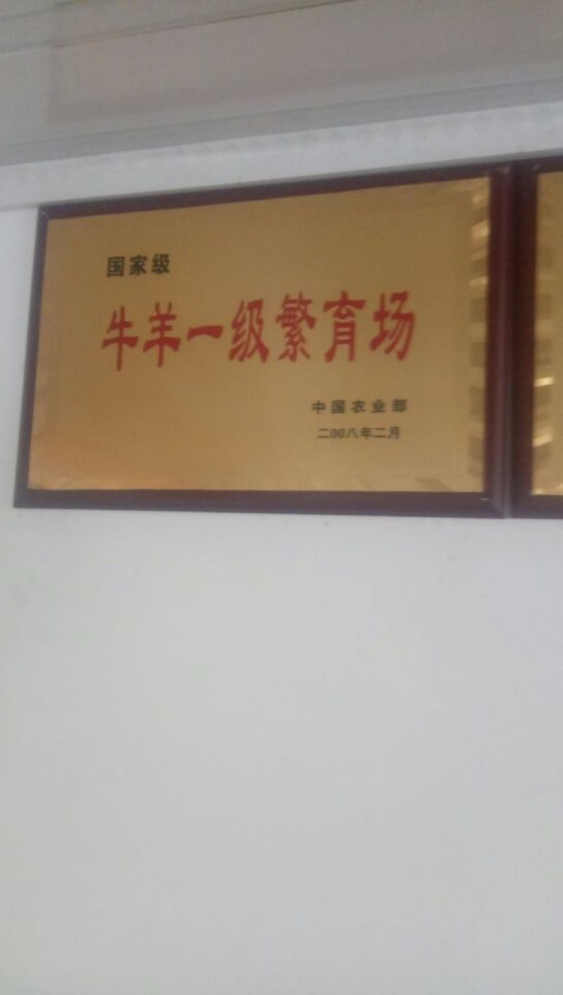 三粉驴100~200斤