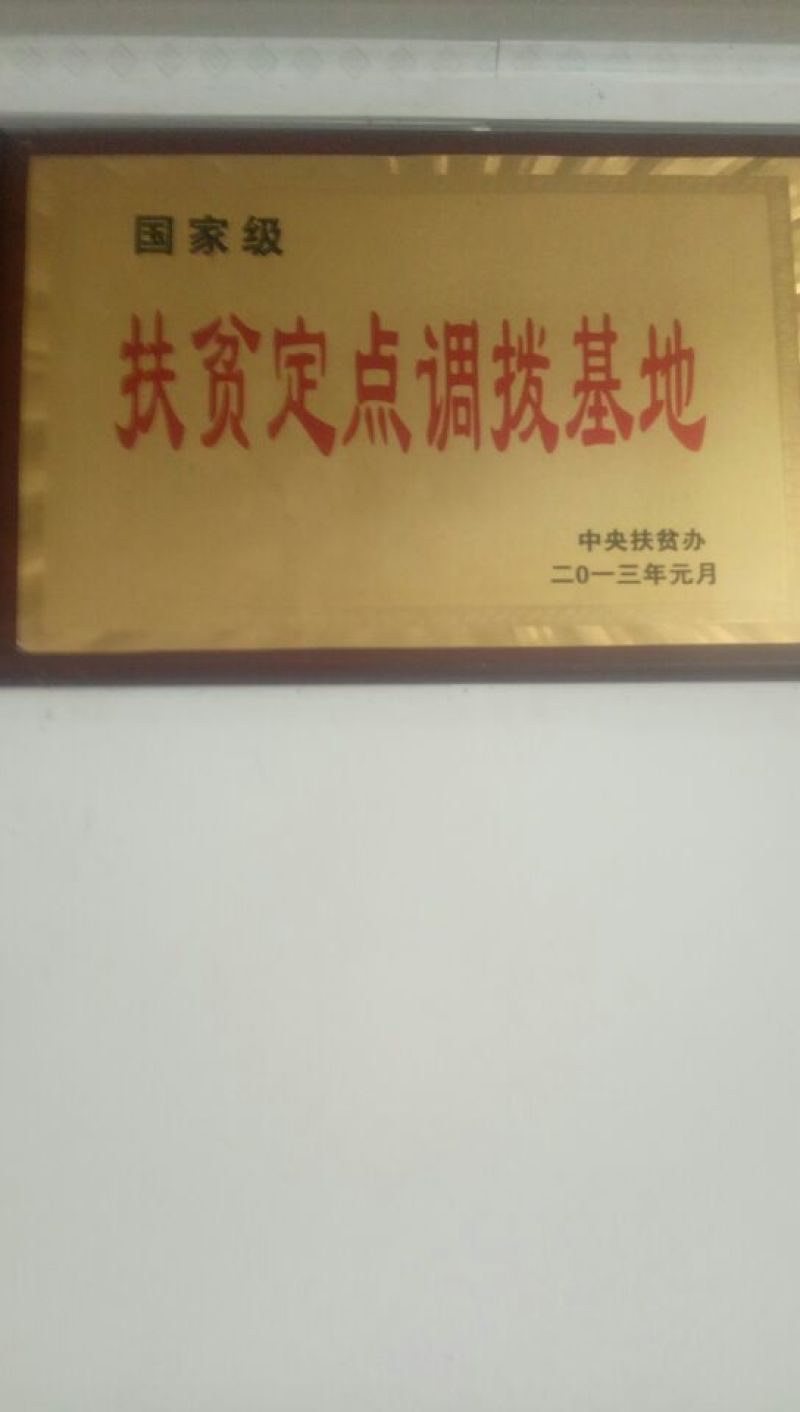 三粉驴100~200斤