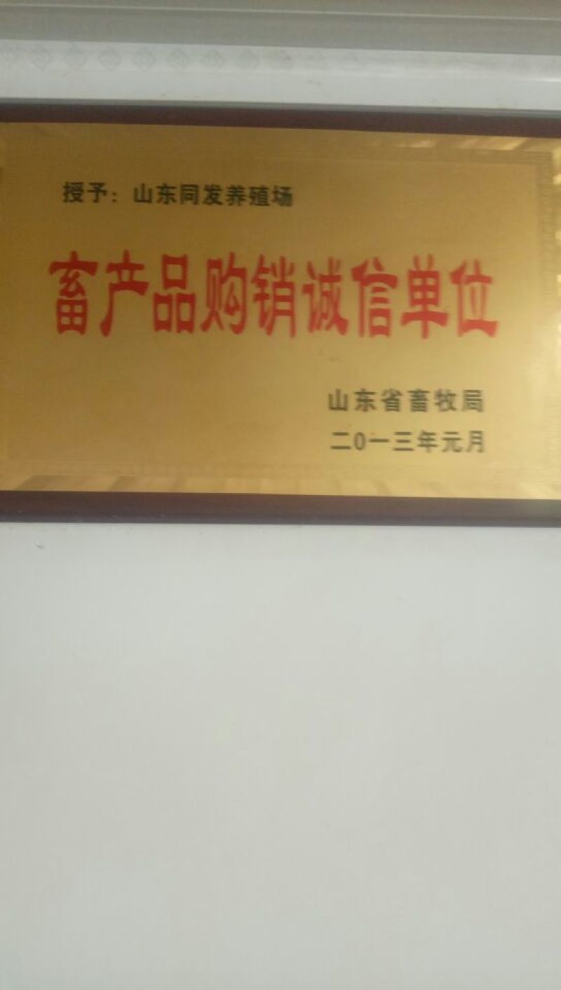三粉驴100~200斤