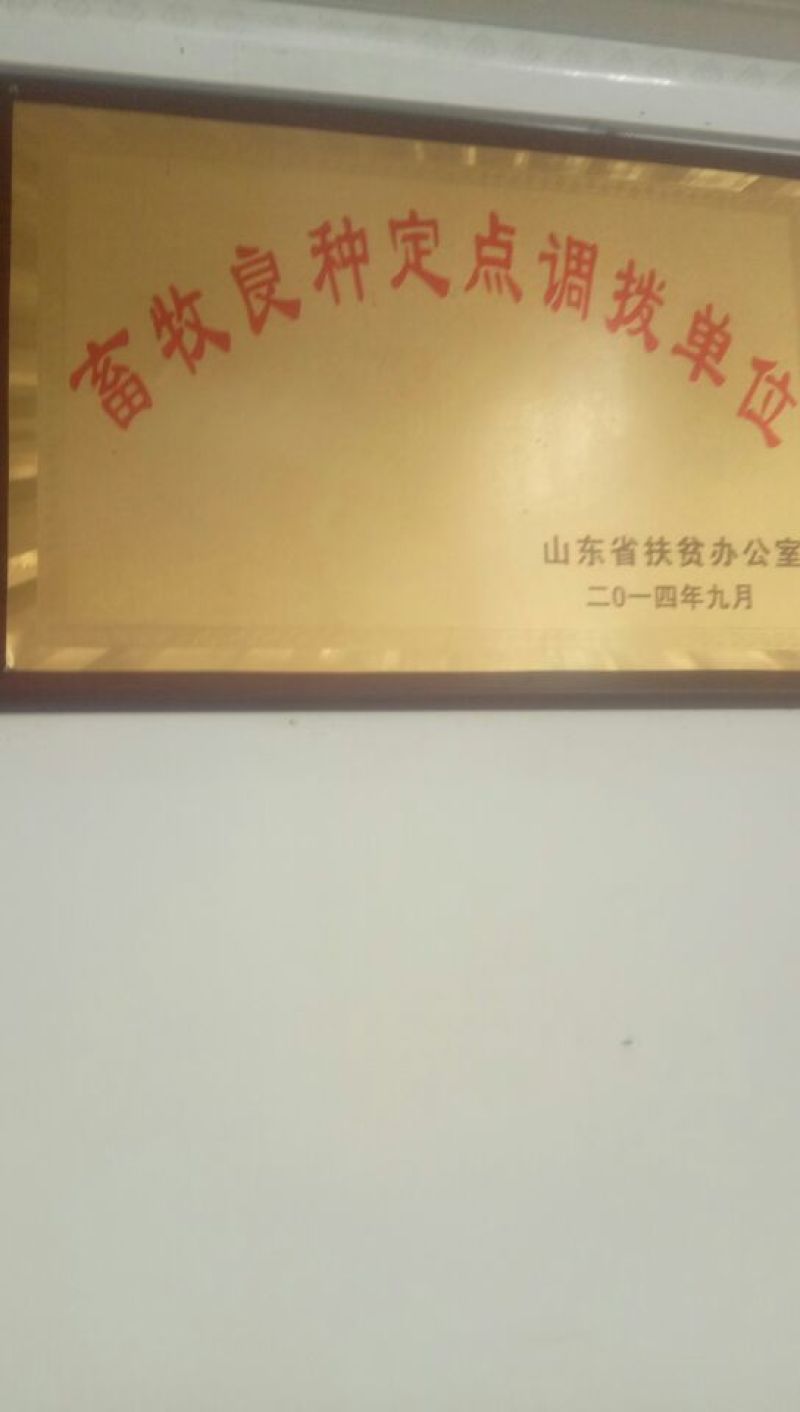 三粉驴100~200斤