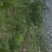 果园10~100亩10~30年出租