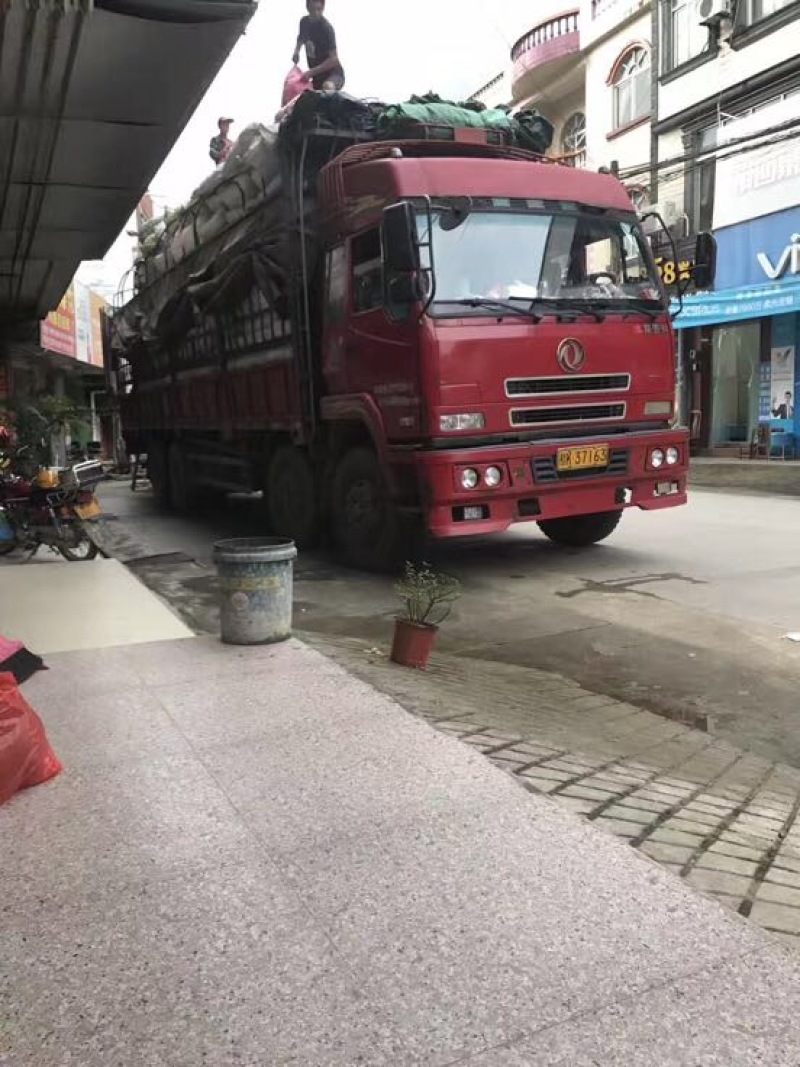 桂皮包装统货
