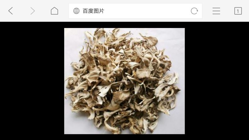 栗树蘑