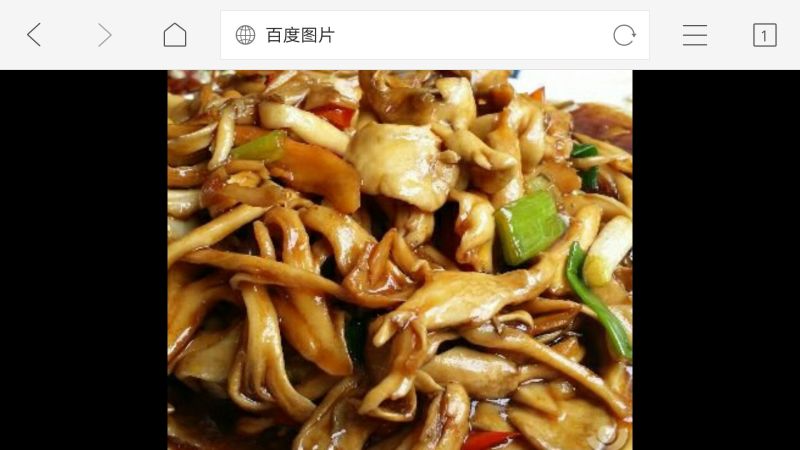 栗树蘑