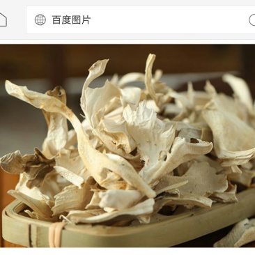 栗树蘑