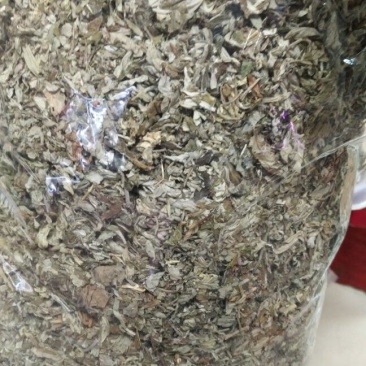 陈艾全叶统