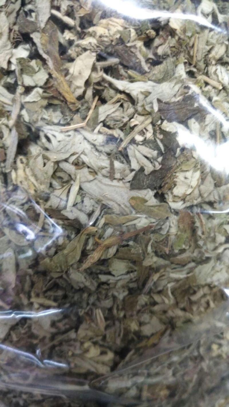 陈艾全叶统