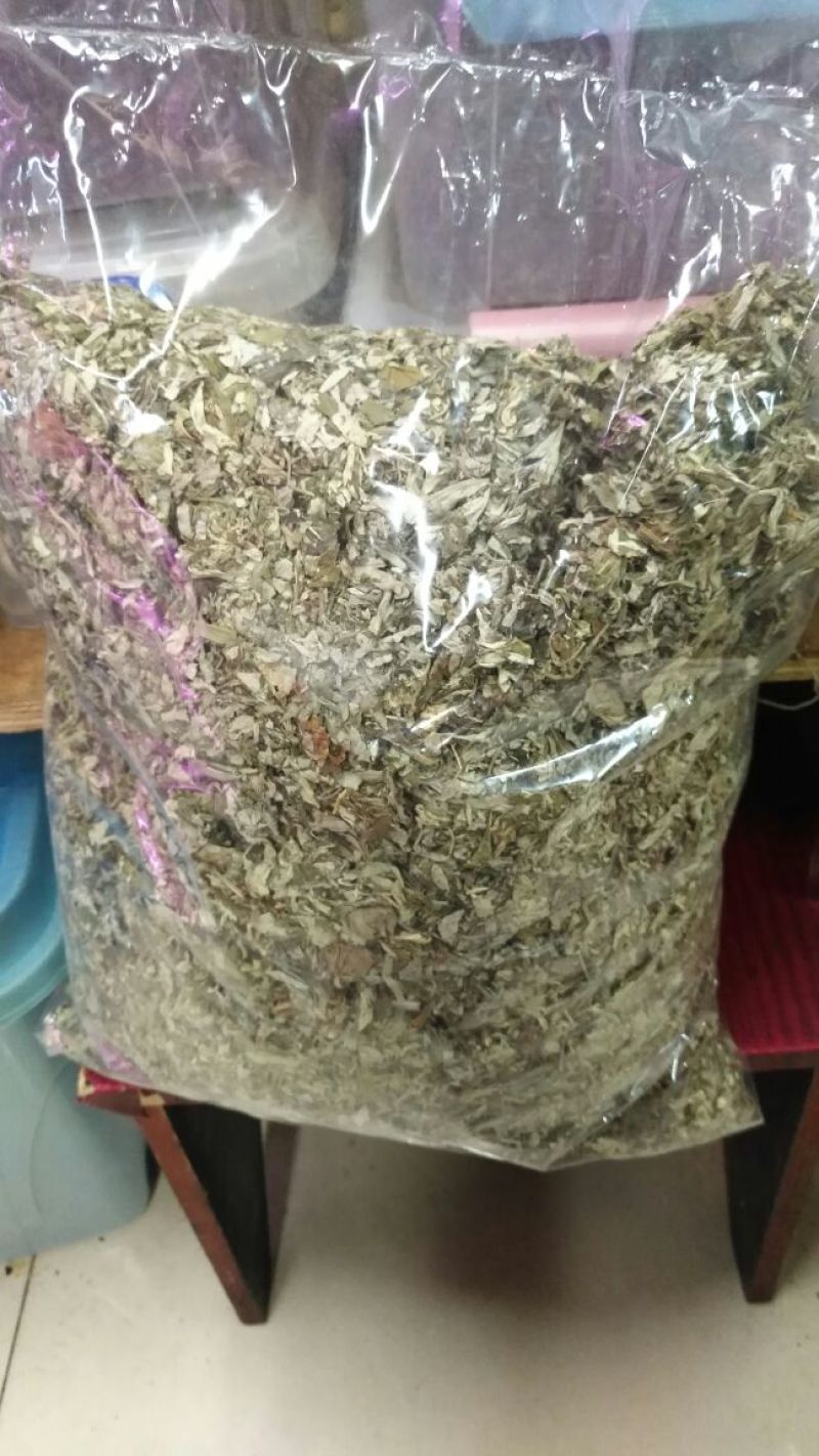 陈艾全叶统