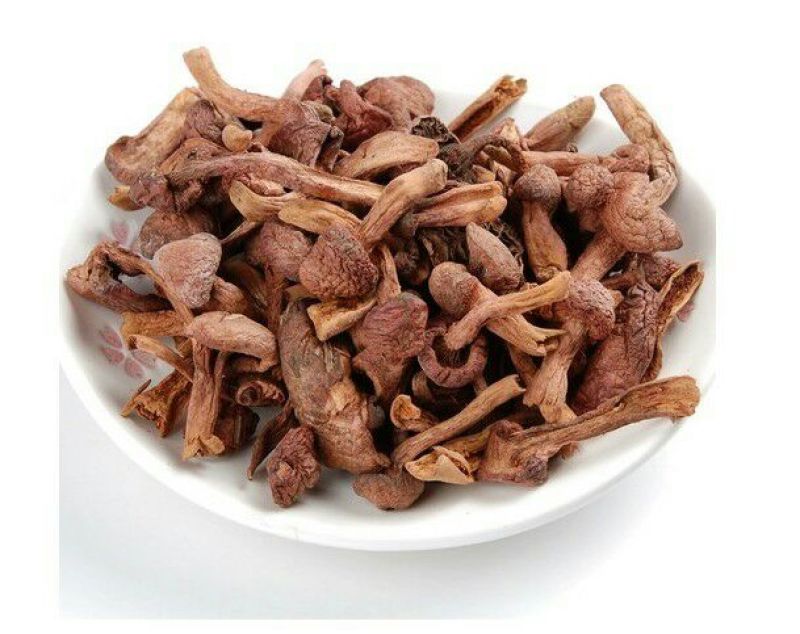 松蘑特级