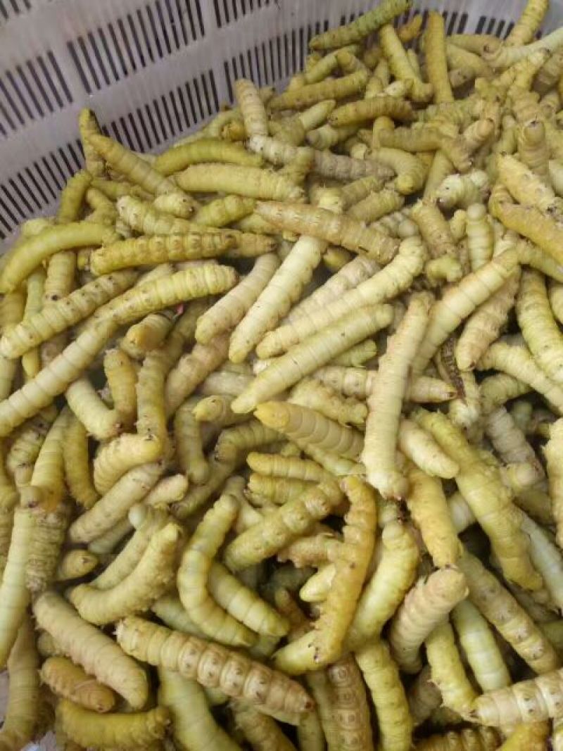 豆丹食用