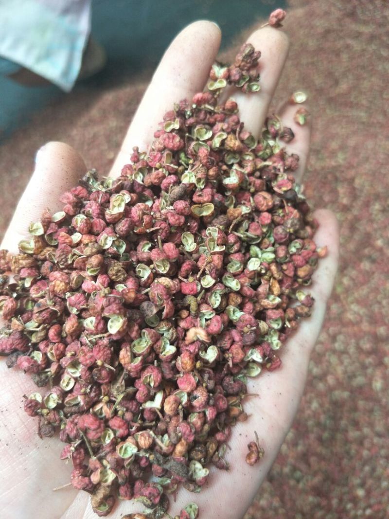 大红袍花椒一级干