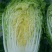 大白菜4~6斤毛菜
