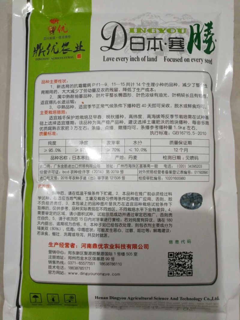 菠菜种子