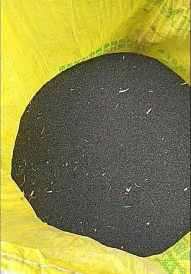 油菜籽1级