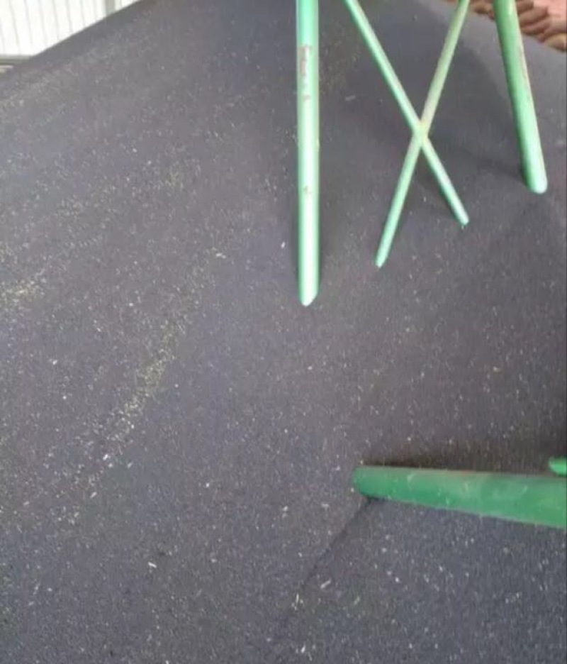 油菜籽1级