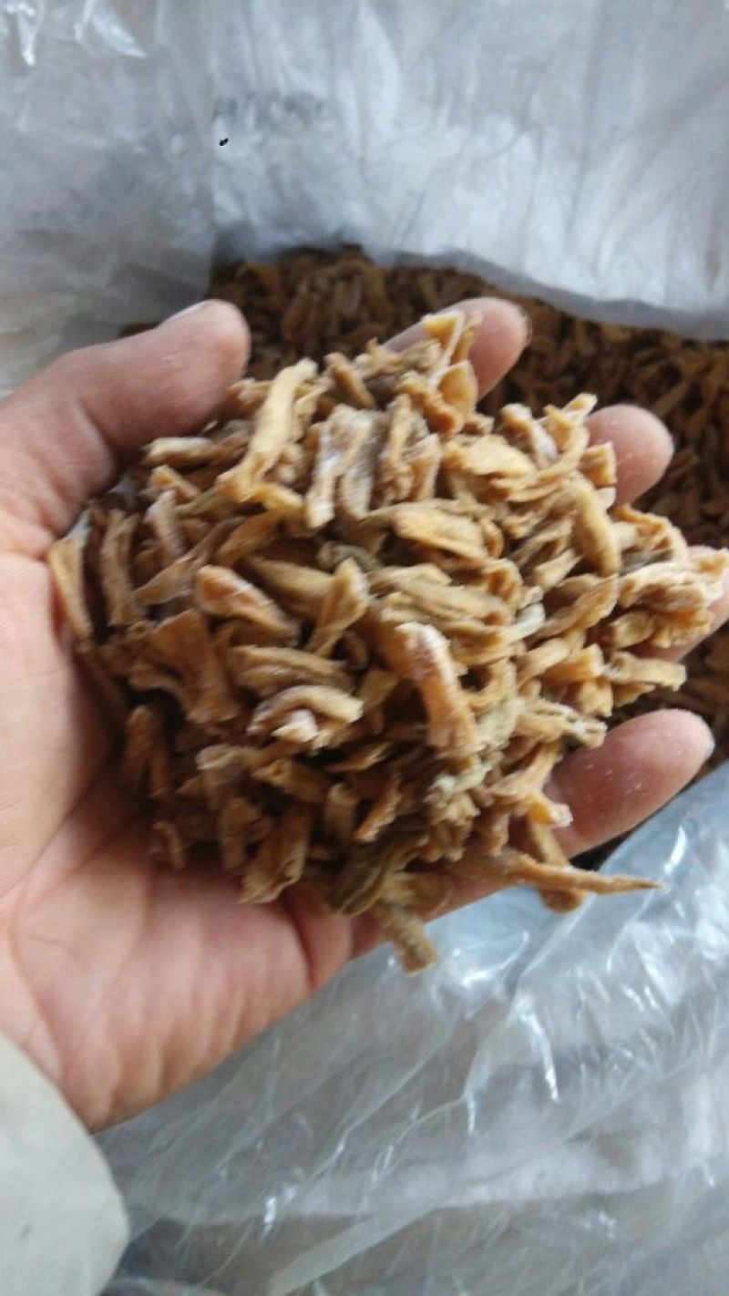 酸豆角精品酸豆角常年有货保质保量价格实惠