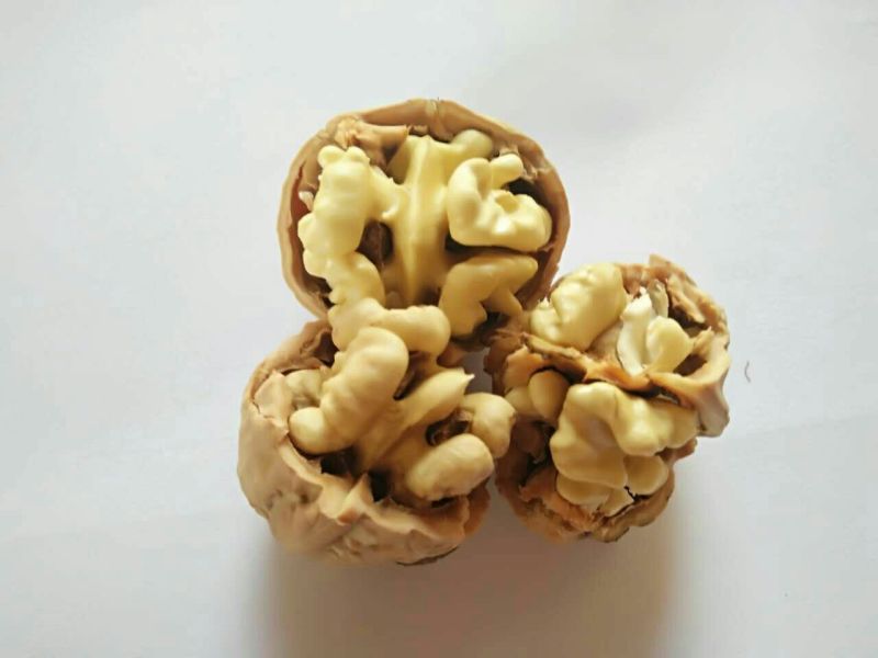 陕西核桃去皮湿