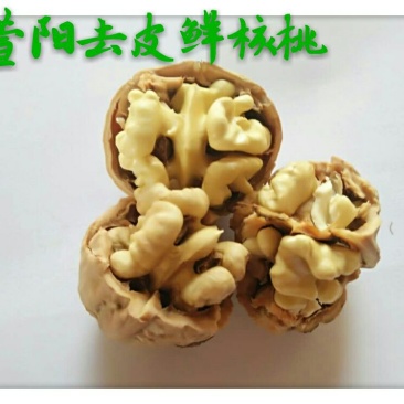 陕西核桃去皮湿