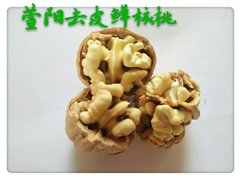 陕西核桃去皮湿