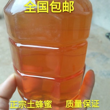 土蜂蜜包邮百花蜜高山油菜花蜜农家自家养殖销售