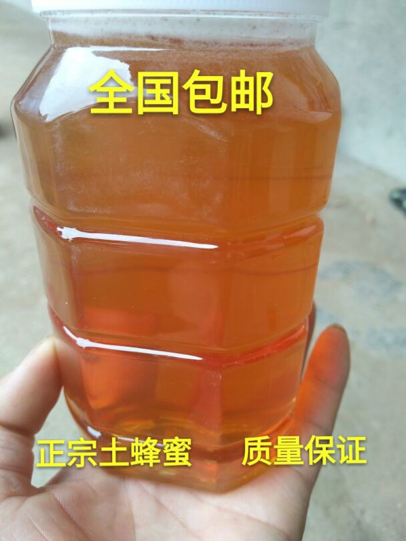 土蜂蜜包邮百花蜜高山油菜花蜜农家自家养殖销售