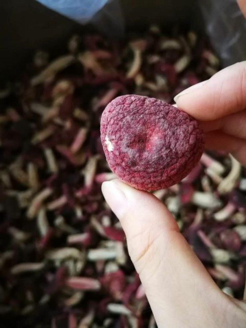 红菇3―5cm中菇未开伞