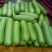 瓠瓜20~30cm5~6cm