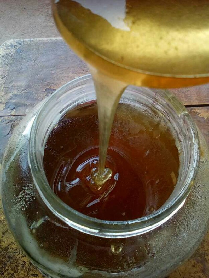 土蜂蜜包邮百花蜜高山油菜花蜜农家自家养殖销售