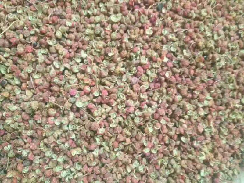 花椒一级干