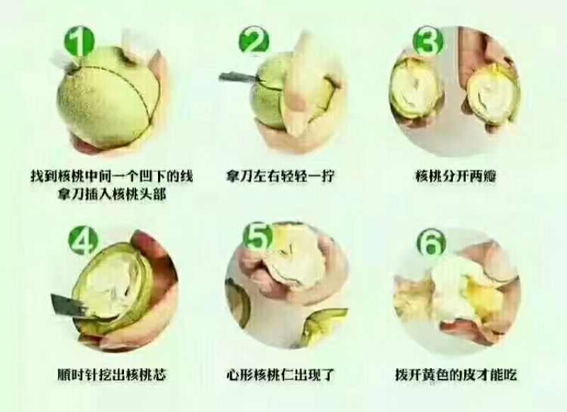 青皮核桃青皮湿