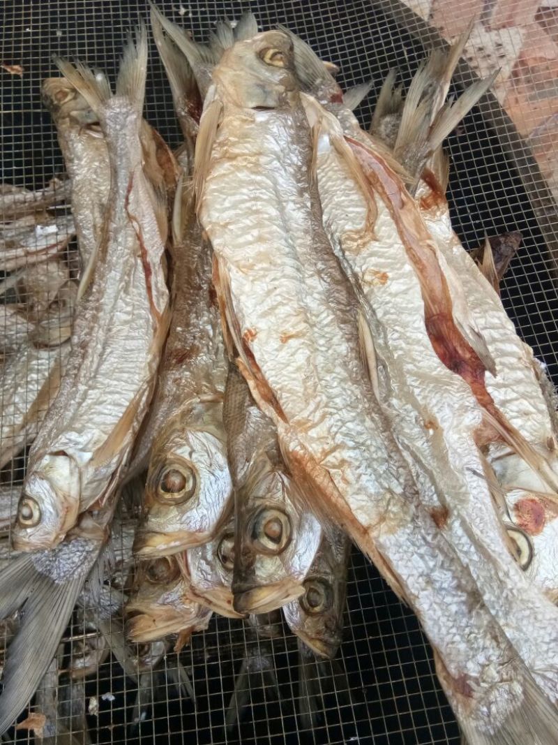 火焙鱼稻谷香味