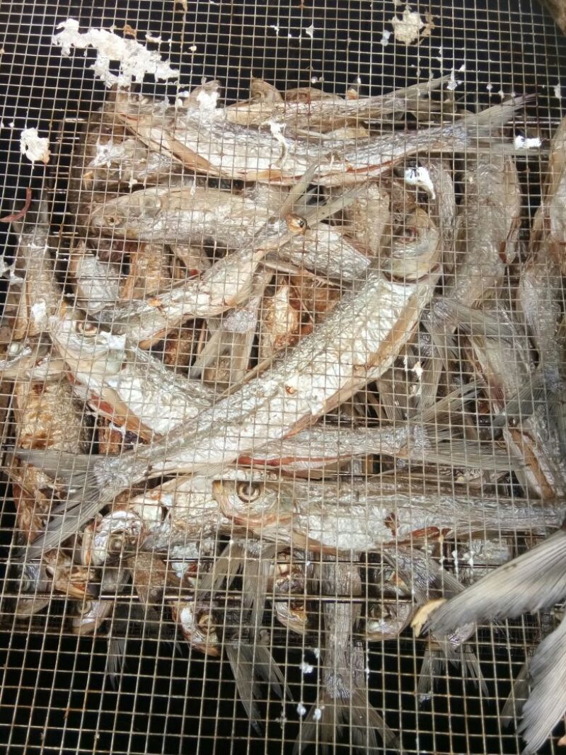 火焙鱼稻谷香味