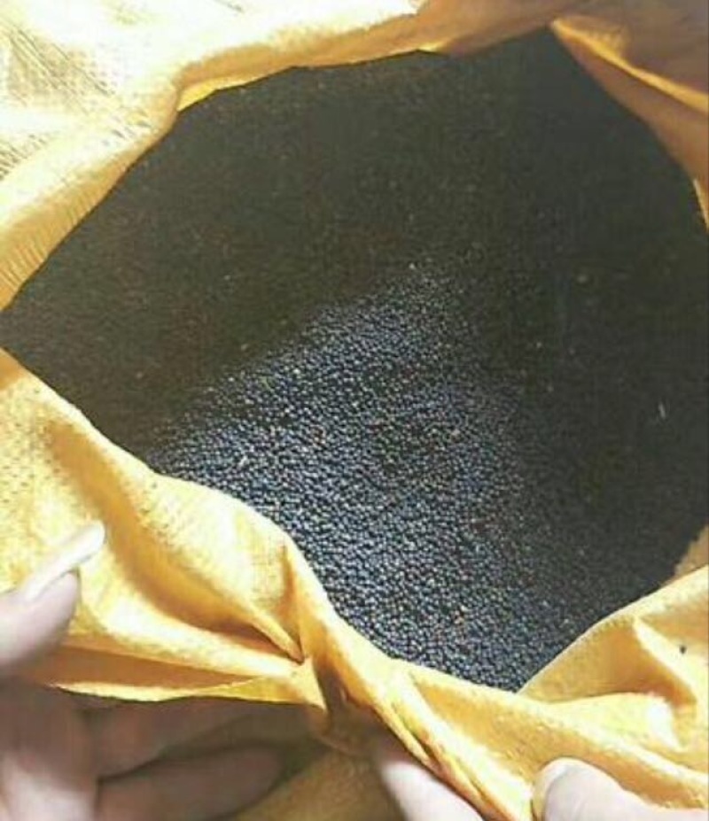 油菜籽1级