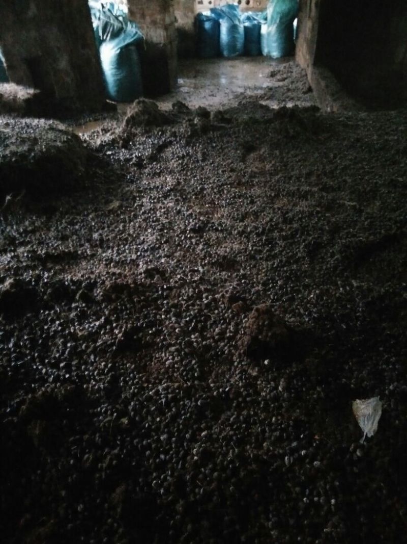 禽畜粪便