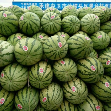 硒砂瓜15斤打底8成熟1茬