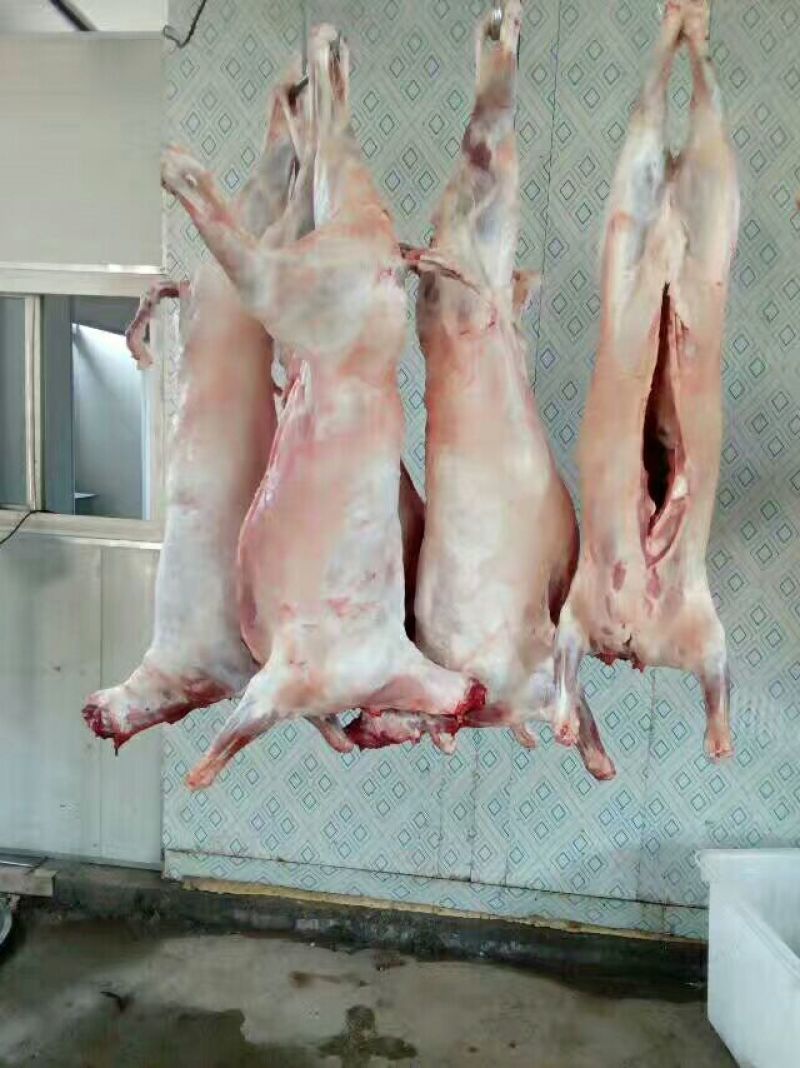 羊胴体是带骨绵羊肉